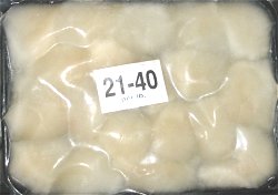 vacuum packed scallop meat, saucer scallop meat